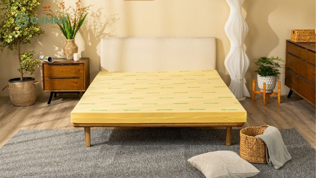 Nệm cao su là gì? Tổng hợp những loại nệm cao su phổ biến