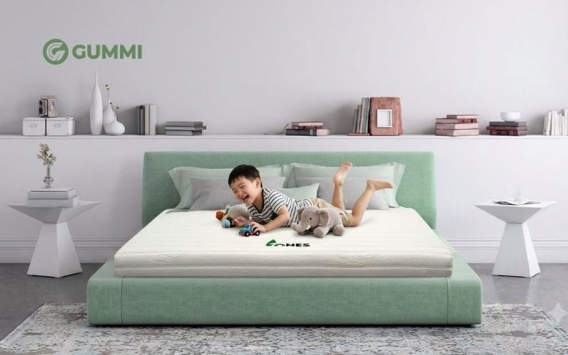 Nệm Gummi 7zones 