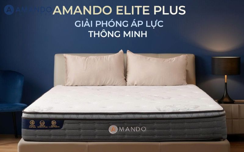Nệm lò xo túi độc lập Amando Elite Plus