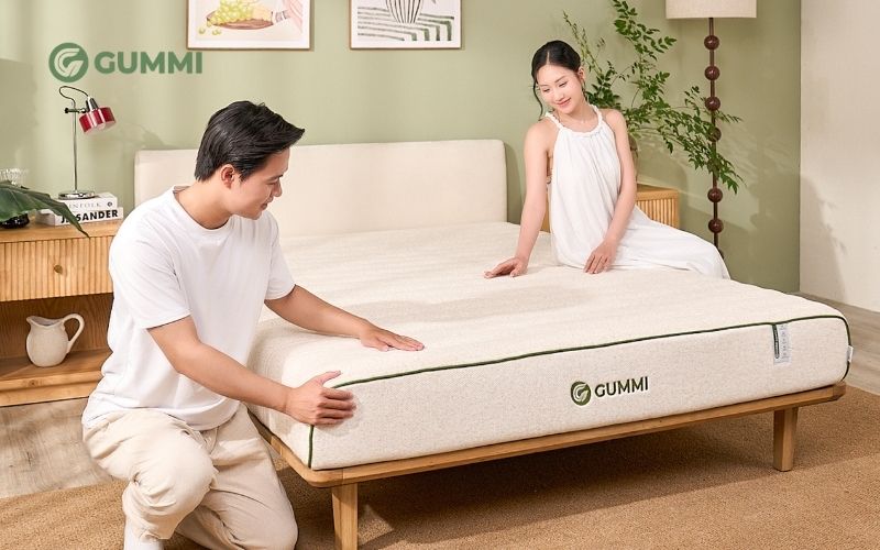 Nệm Gummi Hybrid Plus 