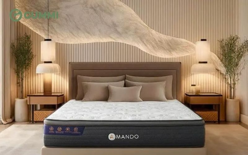 Nếu bạn có yêu cầu về mẫu nệm có kiểu dáng đặc biệt thì có thể liên hệ với thương hiệu và đặt hàng thiết kế