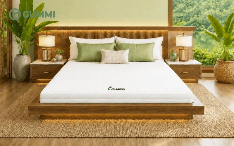 Nệm cao su nhập khẩu nâng đỡ 7 vùng Gummi 7zones
