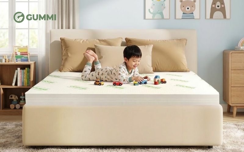 08 Tiêu chí chọn nệm cho phòng ngủ kiểu hiện đại chất lượng 9 Nệm Gummi Classic