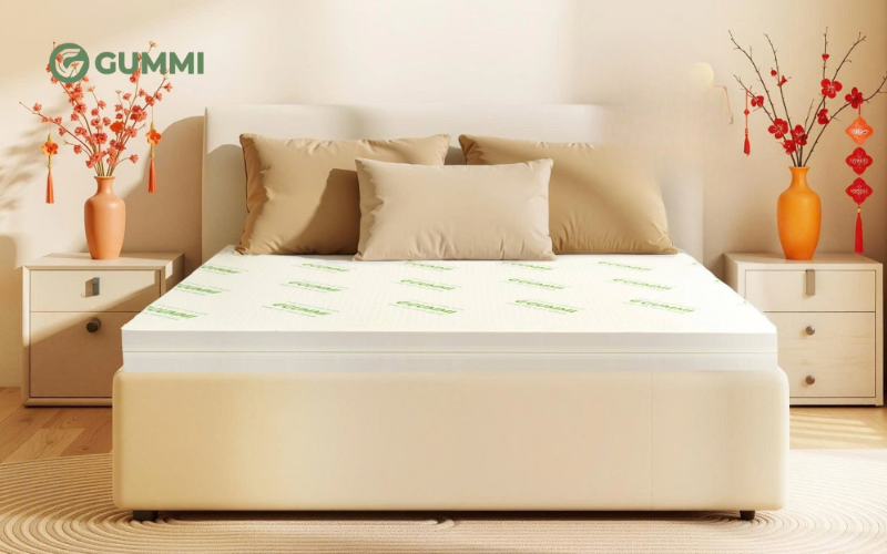 Nệm cho phòng ngủ nhà phố Gummi Classic