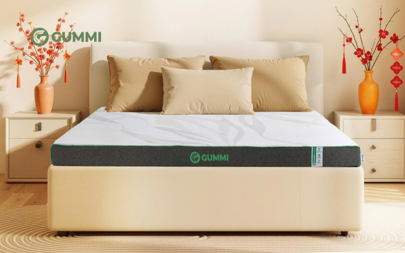 Nệm Gummi Premium