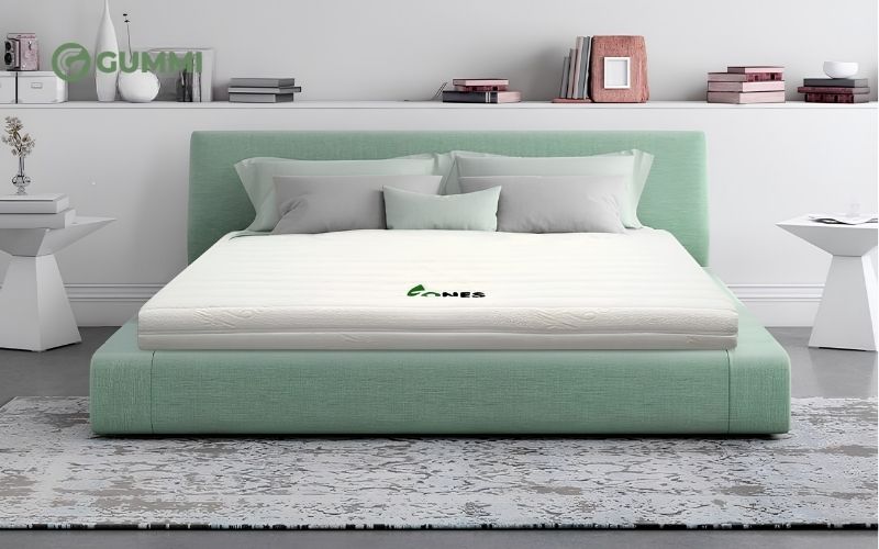 Dòng nệm này phù hợp nhất để chăm sóc sức khỏe của người cao tuổi, mẹ bầu
