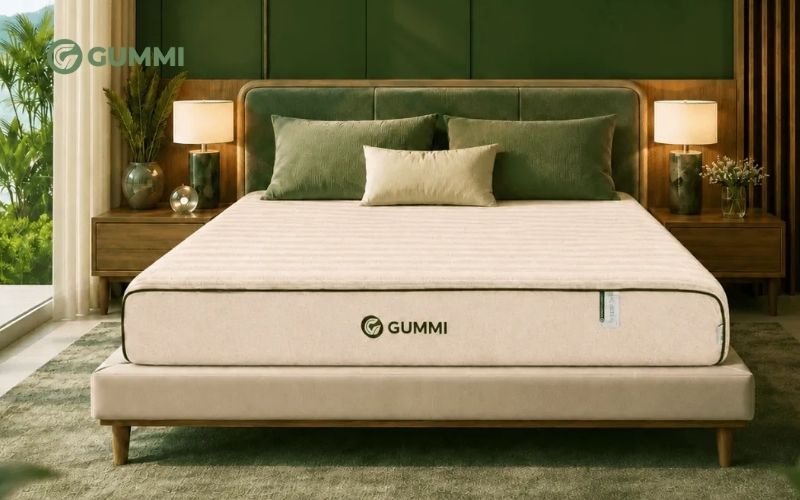 Nệm cao su 3in1 Gummi Hybrid Plus
