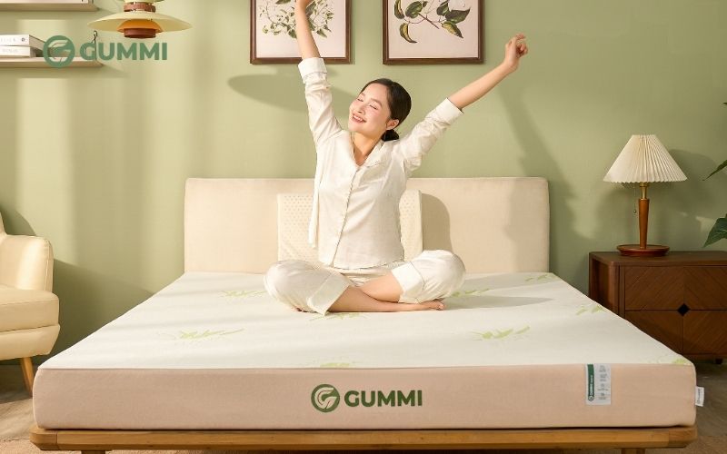 Nệm cao su Gummi Hybrid