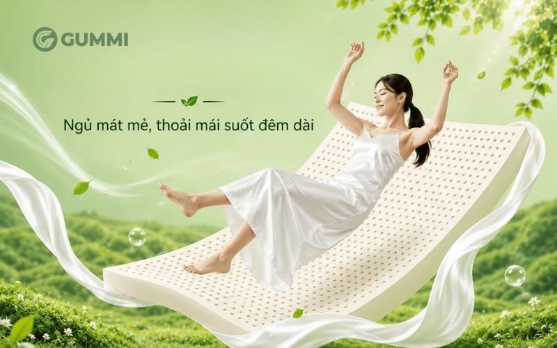 Nệm cao su Gummi Classic bảo vệ cột sống