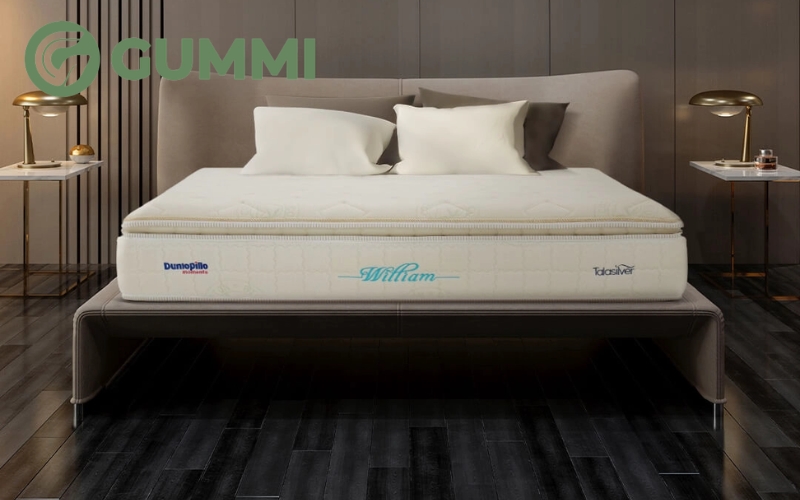 Cẩm nang chọn nệm khách sạn 5 sao CHUẨN êm ái, sang trọng 3 Bạn cần nắm rõ những đặc điểm của từng loại khi chọn nệm cho khách sạn 5 sao