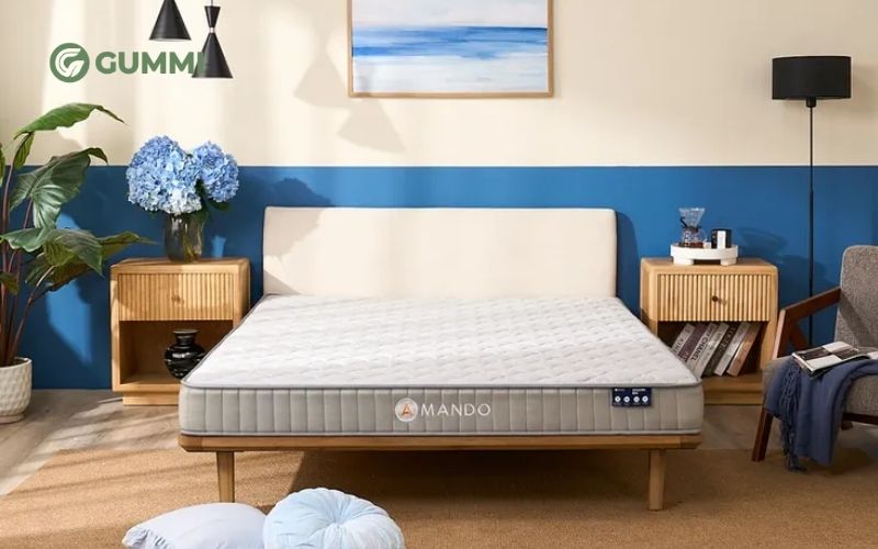 Nệm lò xo túi độc lập Amando Eco