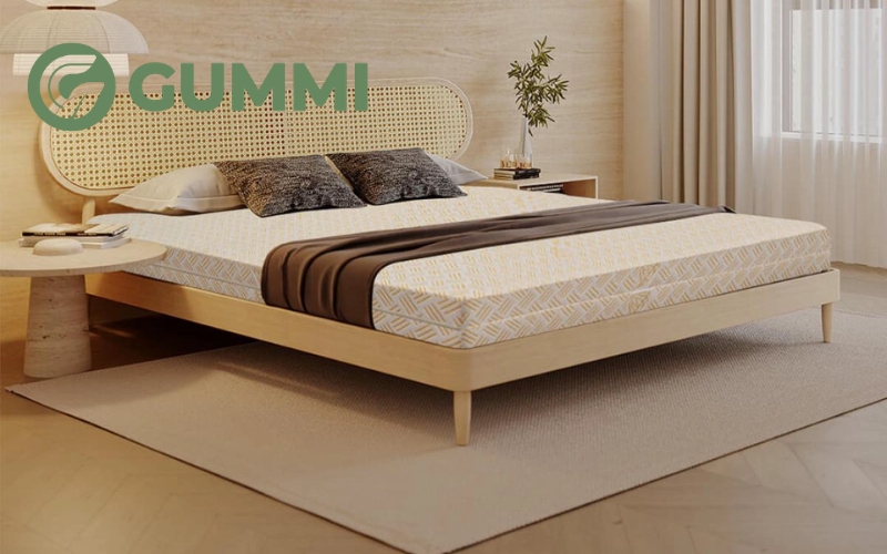 TOP 4 dòng nệm nệm mát lưng HOT 2026 6 Nệm cao su Kim Cương Happy Gold