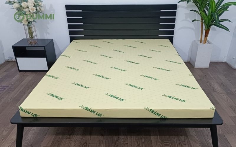 Nệm cao su non có độ đàn hồi cực kỳ linh hoạt