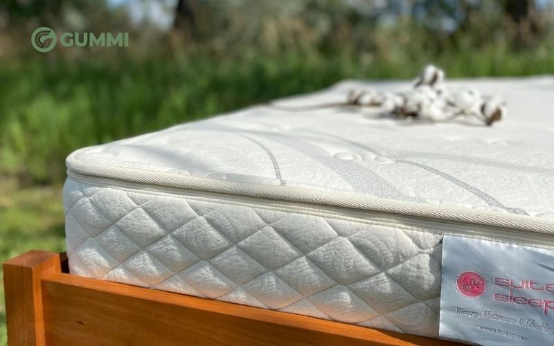 Phơi nệm dưới ánh nắng mặt trời giúp tiêu diệt vi khuẩn, nấm mốc