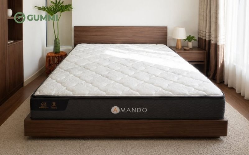Gợi ý 10 mẫu nệm cho phòng ngủ cổ điển, hợp thẩm mỹ của bạn 2 Chọn nệm lò xo cao cấp cho phòng ngủ phong cách cổ điển