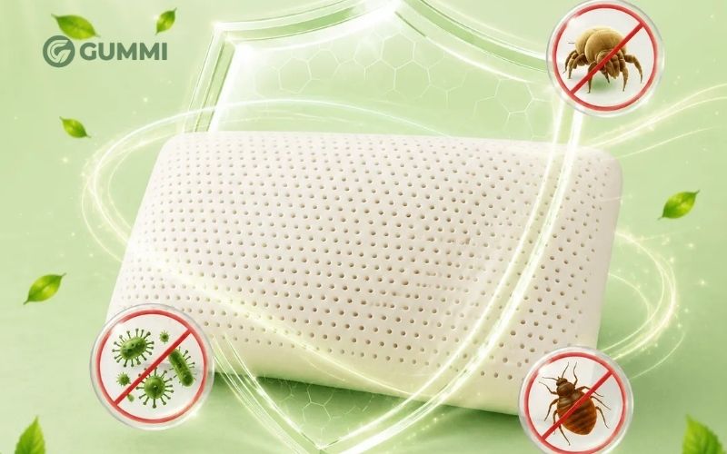 Gối cao su thiên nhiên Gummi Cookie