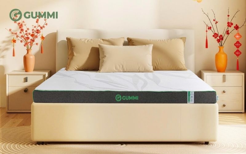 Nệm cao su thiên nhiên Gummi Premium