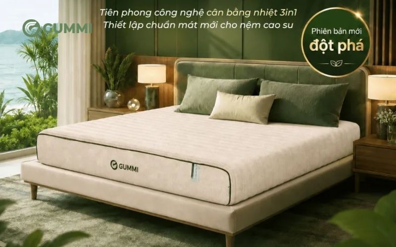 Gợi ý 10 mẫu nệm cho phòng ngủ cổ điển, hợp thẩm mỹ của bạn 5 Nệm cao su cân bằng nhiệt 3in1 Gummi Hybrid Plus