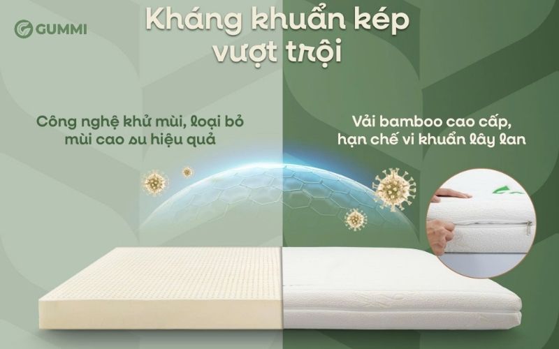 Nệm cao su Gummi 7 Zones kháng khuẩn kép