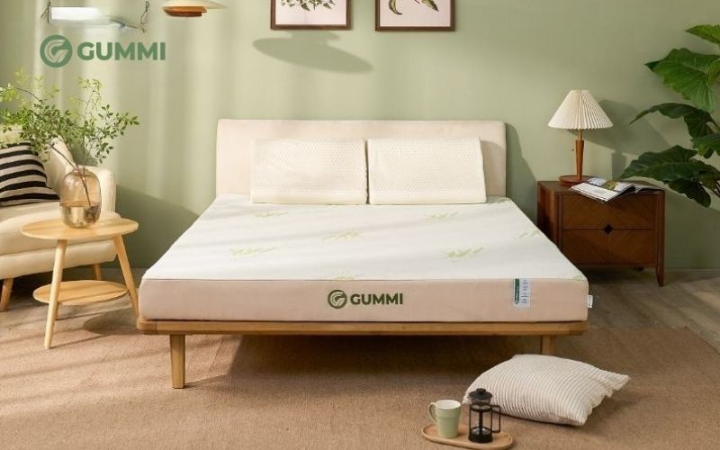 Nệm cao su non và nệm cao su thiên nhiên, nên chọn loại nào? 5 Gummi Hybrid