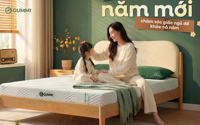 Nệm cao su Gummi Signature cao cấp
