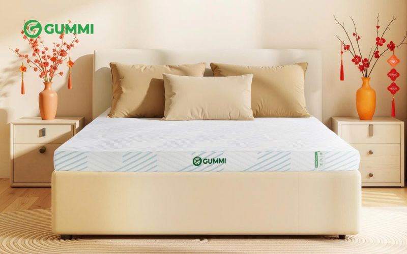 Top 9 thương hiệu nệm cao su nổi tiếng và uy tín tại Việt Nam 1 Gummi là thương hiệu nệm cao su nổi tiếng tại thị trường Việt Nam