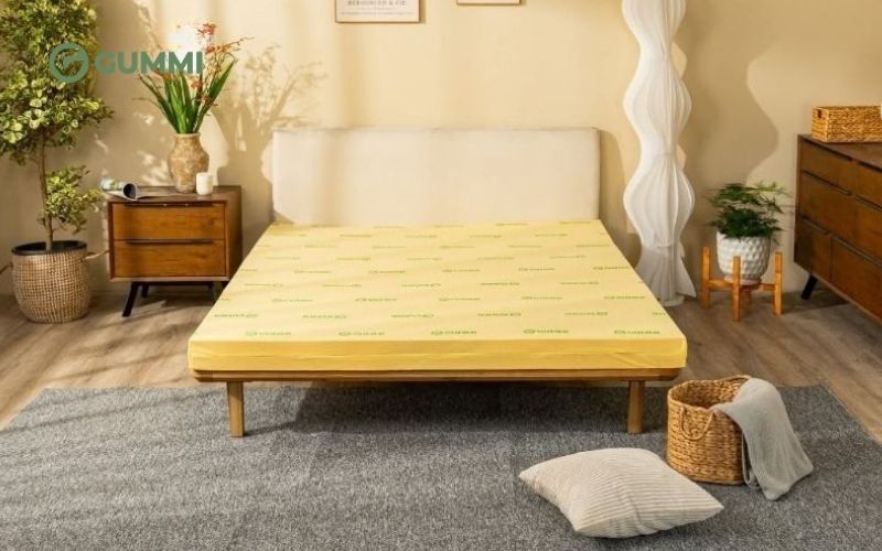 Nệm cao su non và nệm cao su thiên nhiên, nên chọn loại nào? 3 Nệm cao su non và nệm cao su thiên nhiên nên chọn loại nào?
