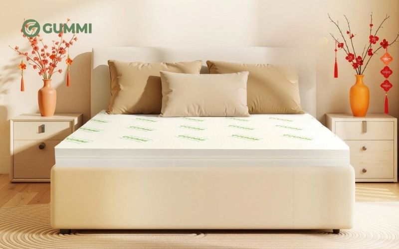 Nệm cao su non và nệm cao su thiên nhiên, nên chọn loại nào? 4 Gummi Classic