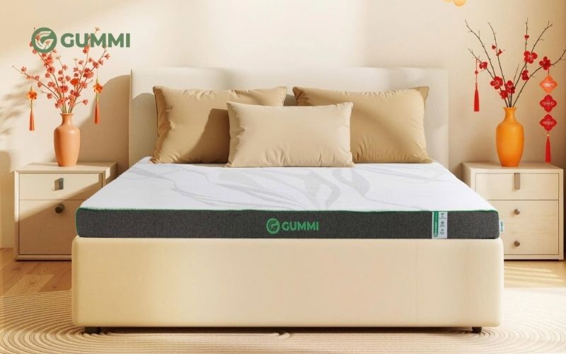 Nệm cao su non và nệm cao su thiên nhiên, nên chọn loại nào? 7 Gummi Premium