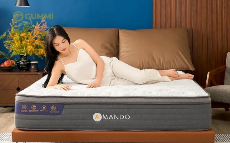 Gợi ý 10 mẫu nệm cho phòng ngủ cổ điển, hợp thẩm mỹ của bạn 6 Nệm lò xo làm mát Amando Elite Grand
