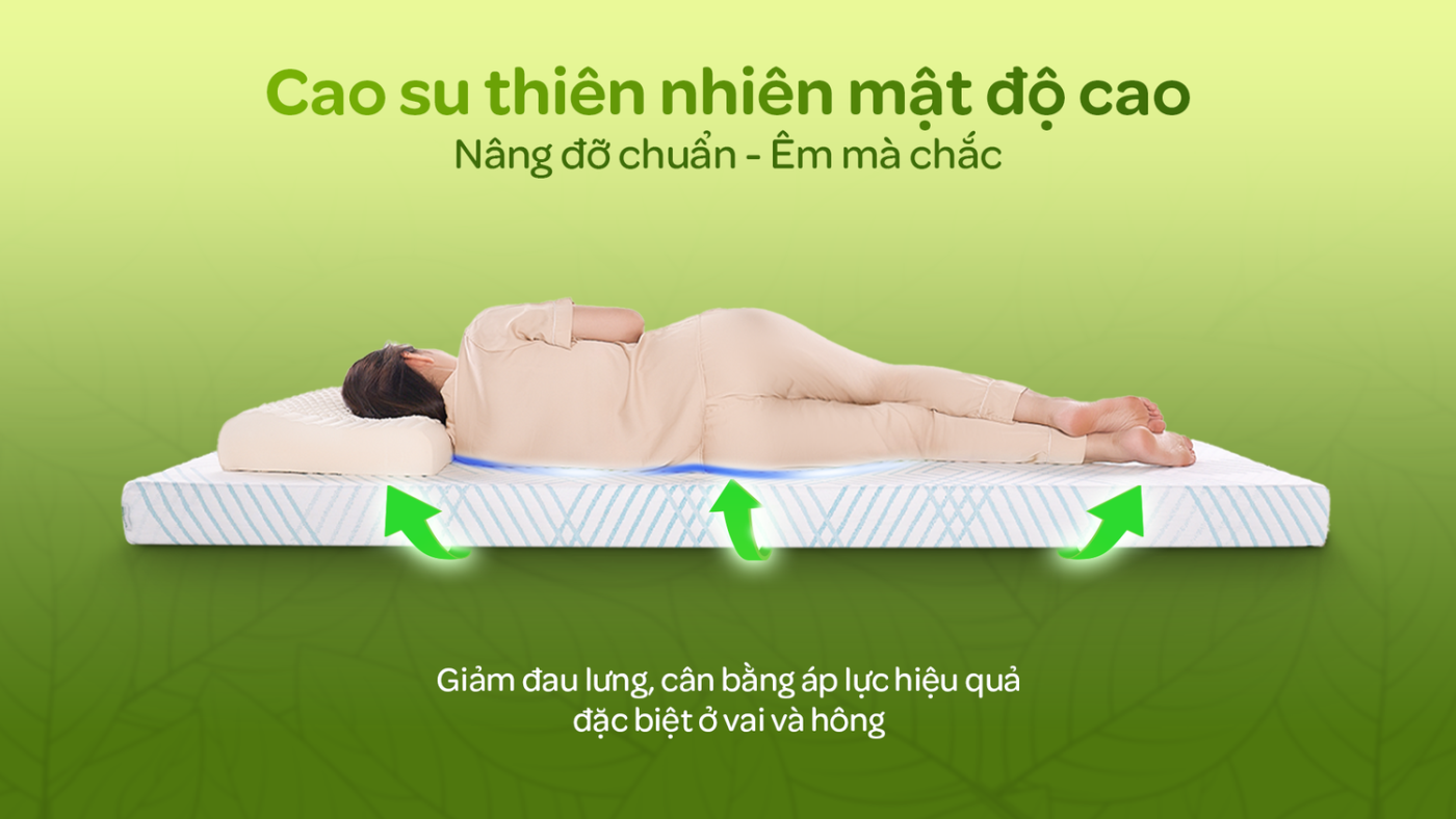 Cao su thiên nhiên mật độ cao