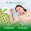 Gummi tinh chất trà xanh