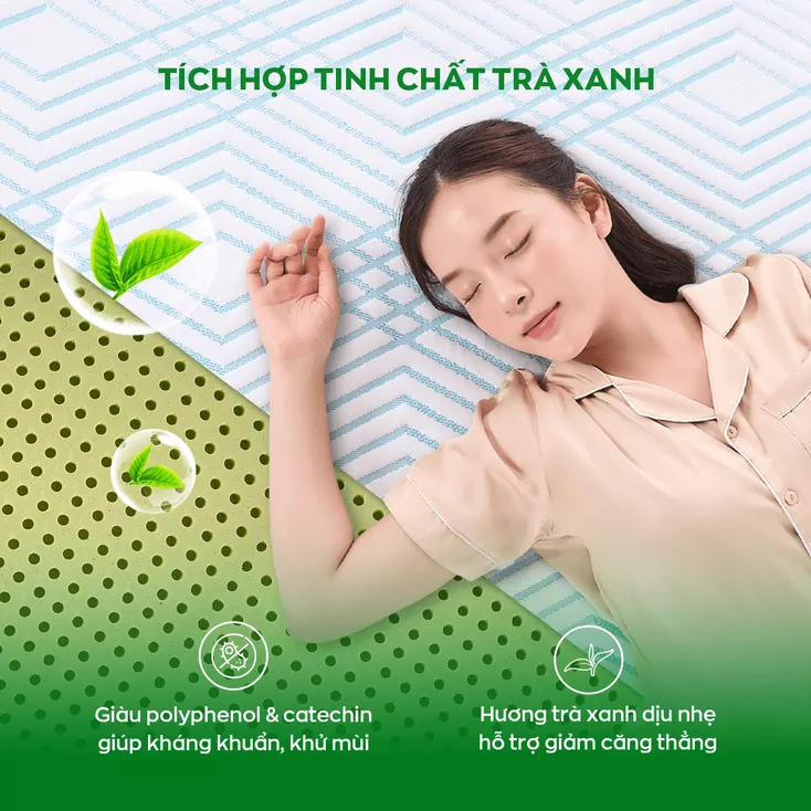 Nệm Gummi Signature 16 Gummi tinh chất trà xanh