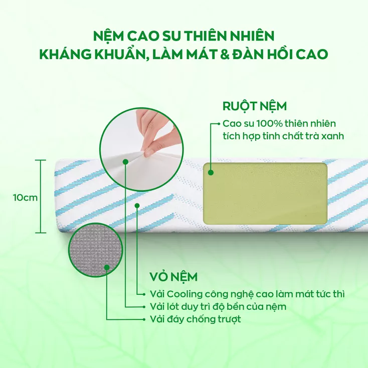 Nệm Gummi Signature 14 Kháng khuẩn làm mát