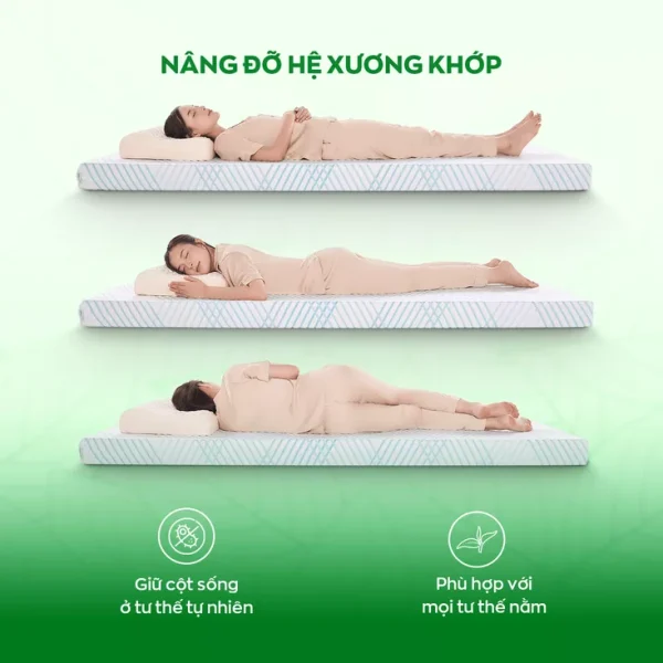 Nâng đỡ xương khớp