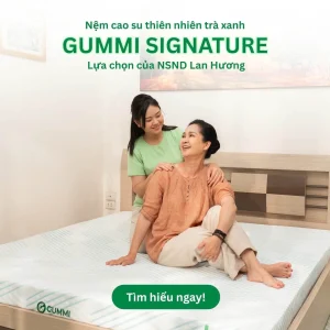 Nệm cao su Gummi Signature