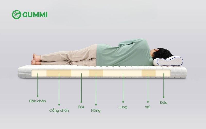 So sánh nệm cao su Gummi Legend và nệm cao su Gummi 7 zones 3 Gummi 7 Zones nâng đỡ tối ưu bảo vệ cột sống