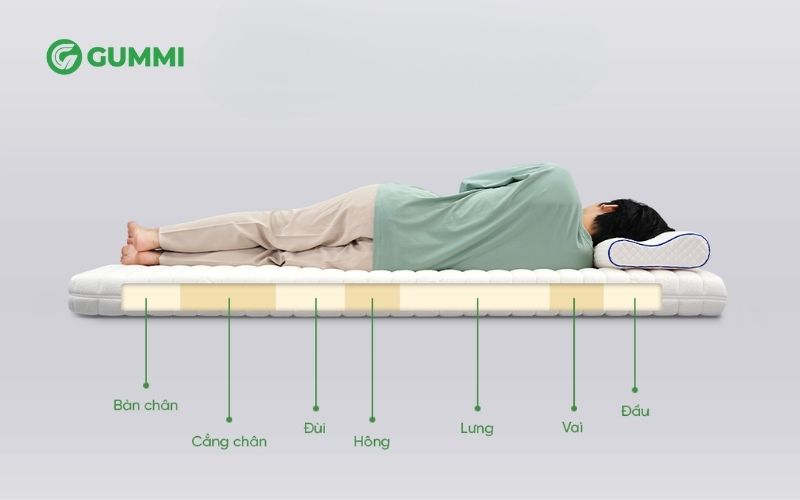 So sánh nệm cao su Gummi 7 Zones và nệm cao su Gummi Signature - Gummi 7 Zones thiết kế 7 vùng nâng đỡ