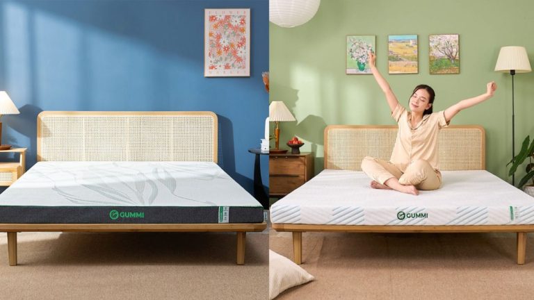 so sánh nệm cao su Gummi Premium và Gummi Signature