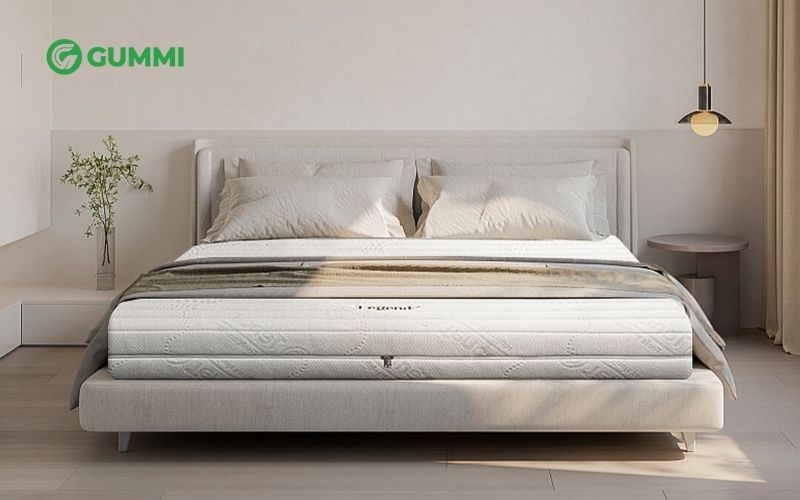 So sánh nệm cao su Gummi Legend và Gummi Premium 2 Nệm cao su thiên nhiên nhập khẩu Gummi Legend