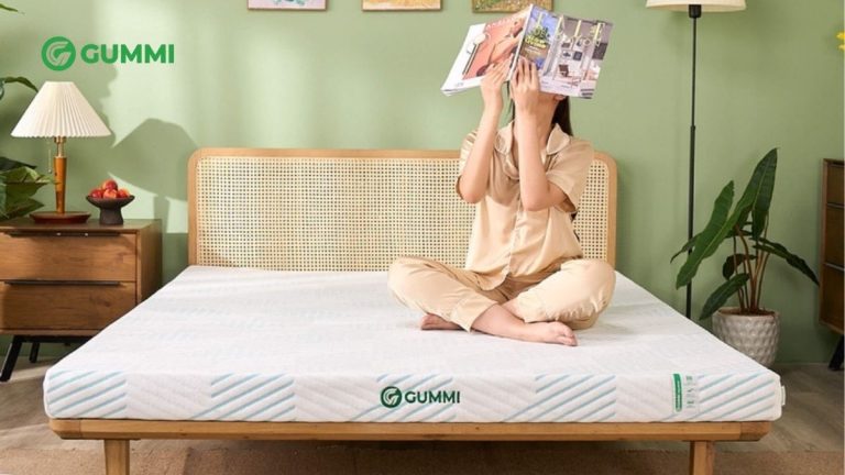 So sánh nệm cao su Gummi 7 Zones và nệm cao su Gummi Signature