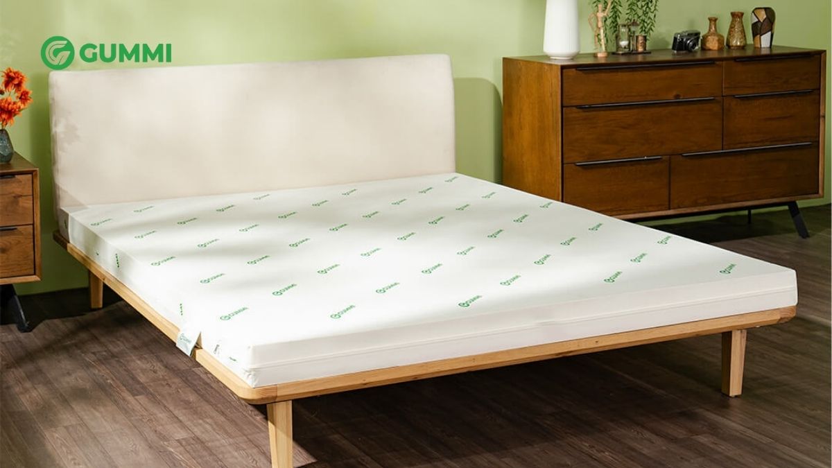 So sánh nệm cao su Gummi Classic và nệm cao su Gummi Lite