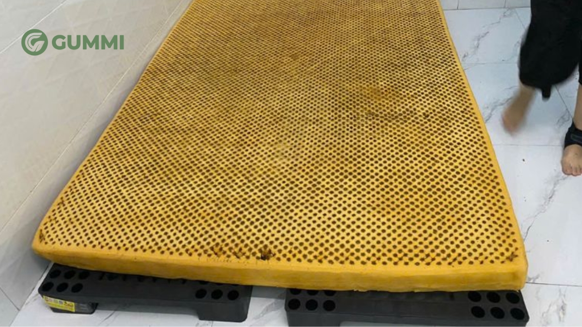 Cách phục hồi nệm cao su tại nhà đơn giản mà hiệu quả