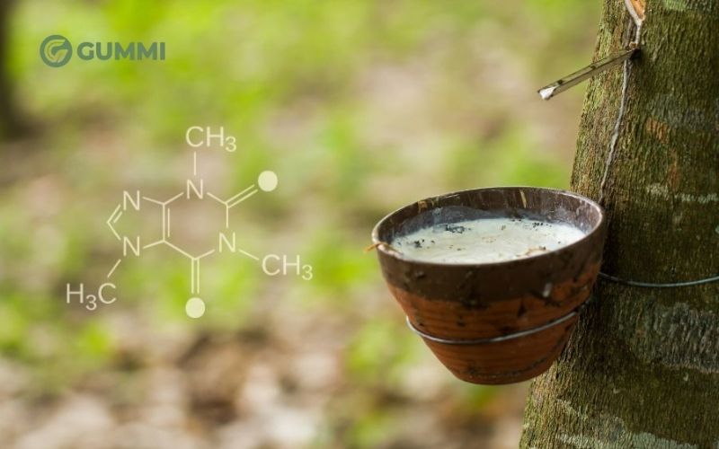 Cấu tạo của cao su thiên nhiên