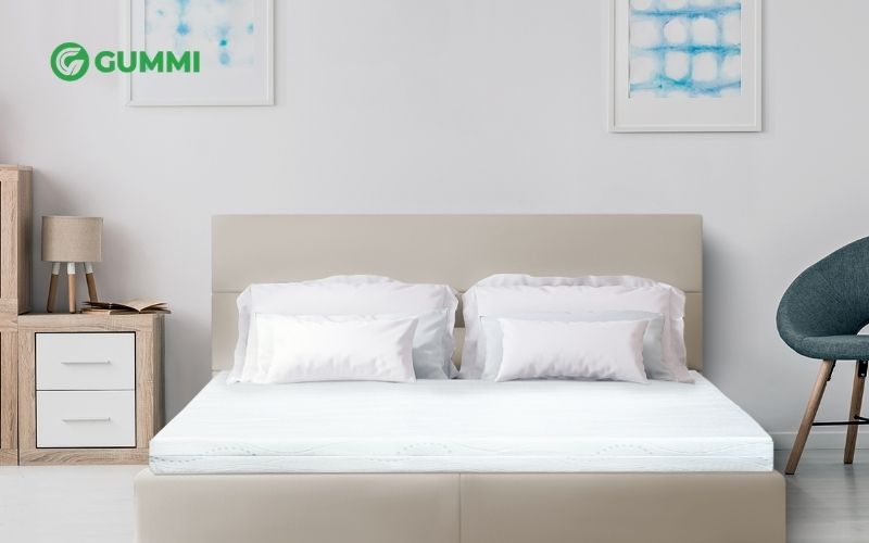 Nệm cao su mỏng là gì? Top 7 đệm cao su mỏng bán chạy 2026 6 Đệm cao su mỏng L'ADOME Liên Á