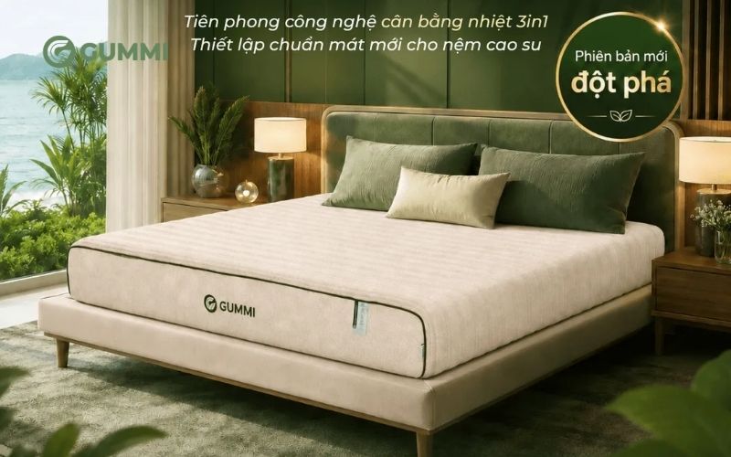 Nệm cao su cân bằng nhiệt 3in1 Gummi Hybrid Plus