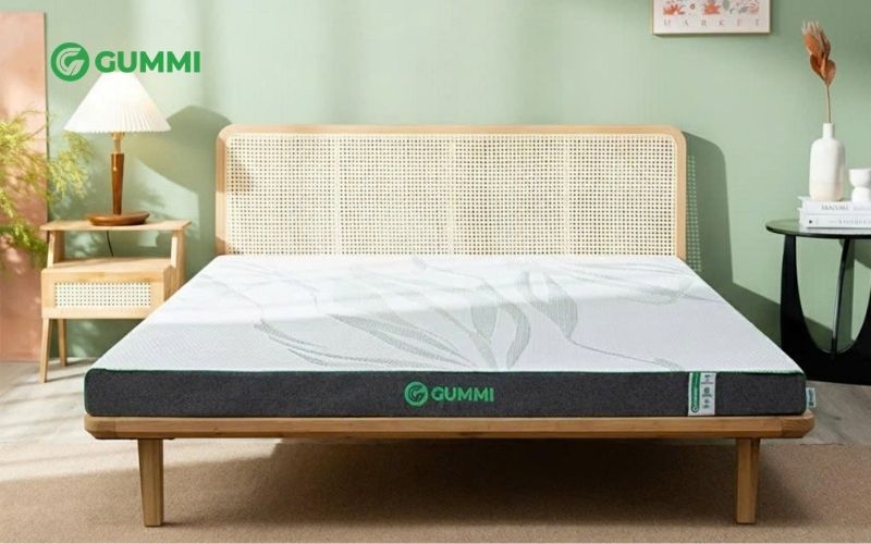 Nệm cao su 5cm: Cập nhật bảng giá và top 7 mẫu nệm bán chạy 8 Gummi - Thương hiệu nệm cao su chuẩn gu