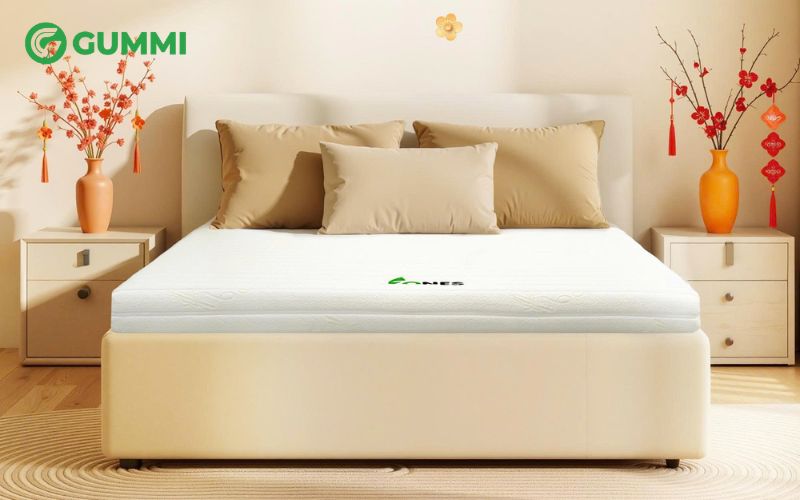 Mua nệm cao su 1mx2m ở đâu uy tín, chính hãng, giá tốt? 2 Dòng nệm cao su 1m x 2m sở hữu nhiều điểm mạnh nổi bật nhưng cũng tồn tại một số hạn chế nhất định