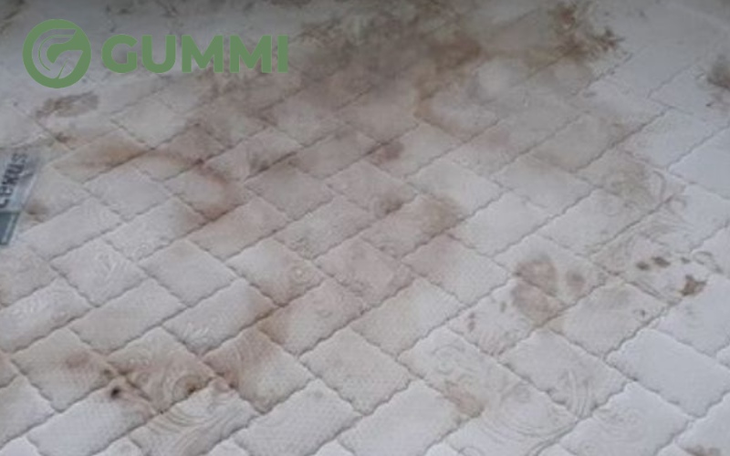 10 cách xử lý nệm cao su bị mốc, trắng sáng như mới 2 Khi nệm mốc gây ảnh hưởng đến sức khoẻ, chất lượng cuộc sống