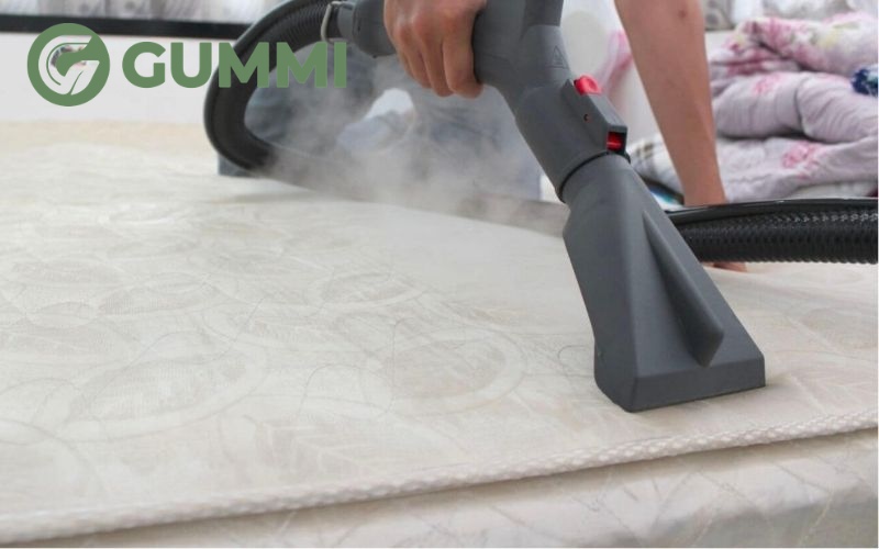 10 cách xử lý nệm cao su bị mốc, trắng sáng như mới 4 Máy hút bụi có thể xử lý những vết mốc mới